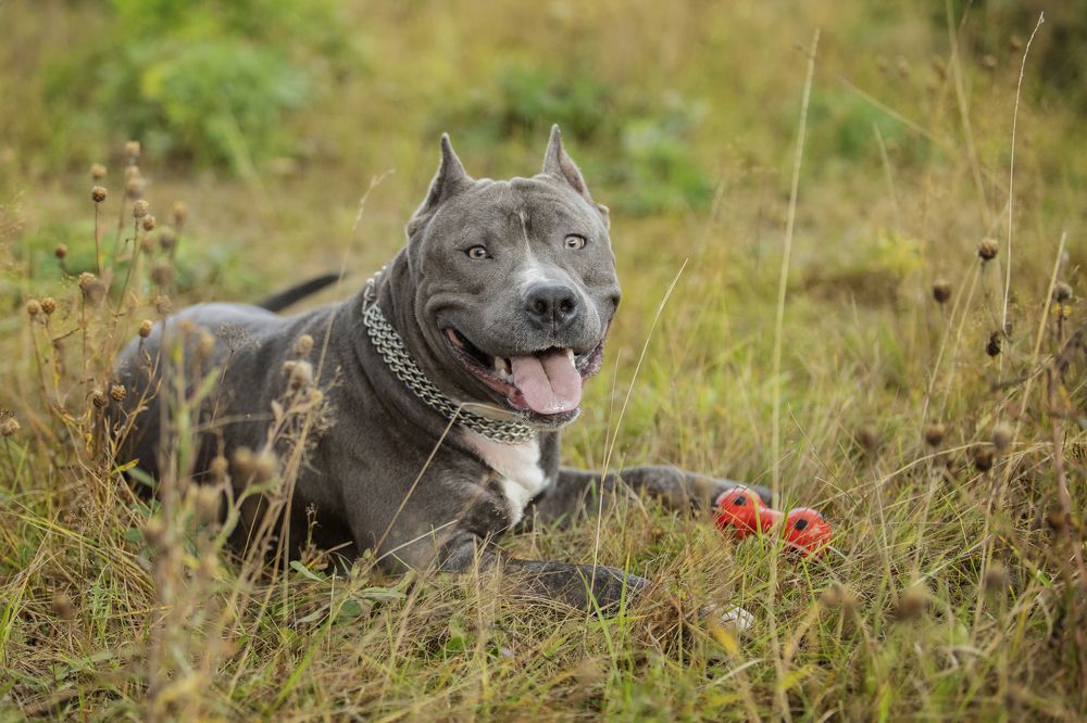 Photograph by Яна Матвеева