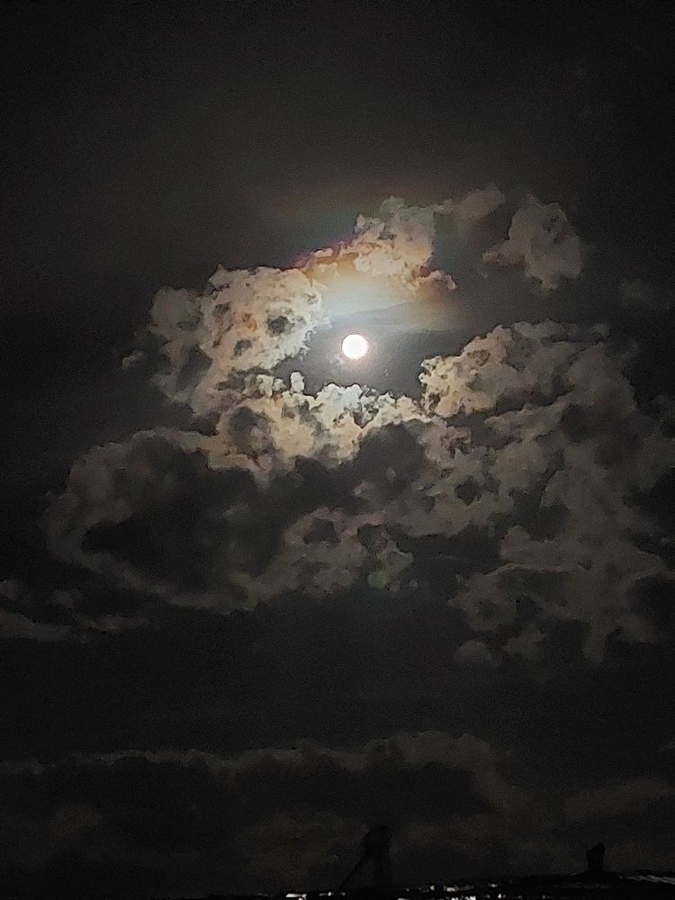 Photograph by Dafinka Sokoloska