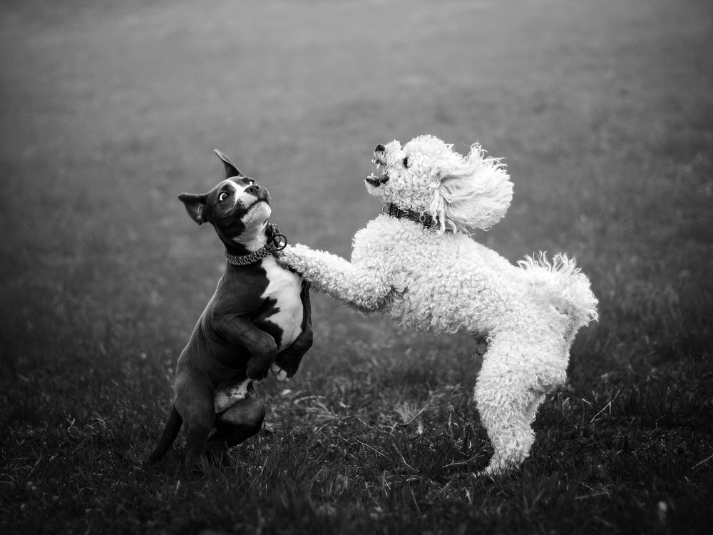 Photograph by Dorota Hnatová