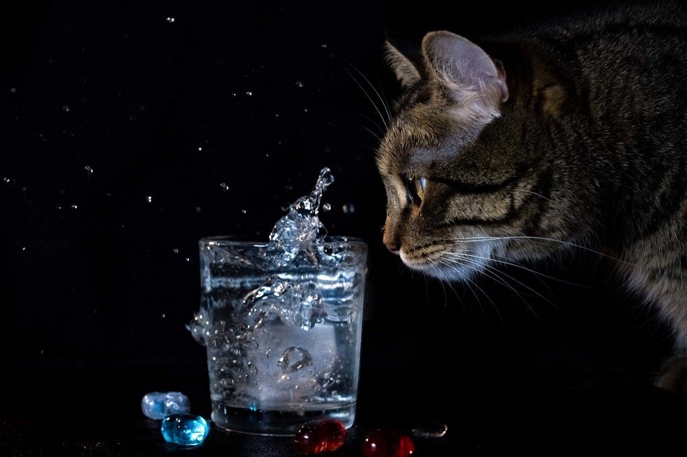 Любитель жидкости