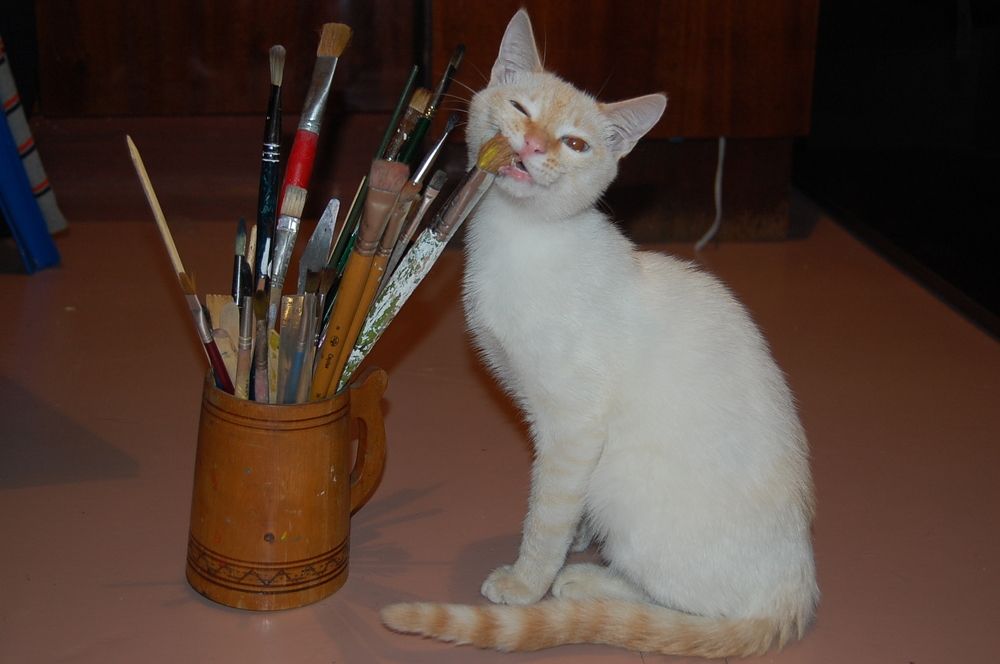 Photograph by Марина Ножнина