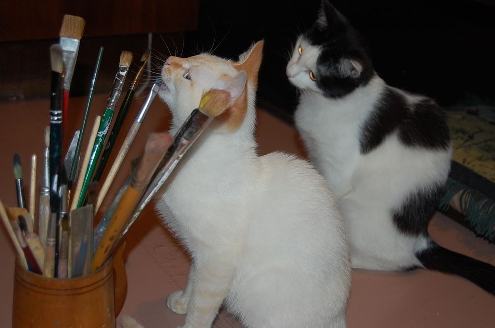 Photograph by Марина Ножнина