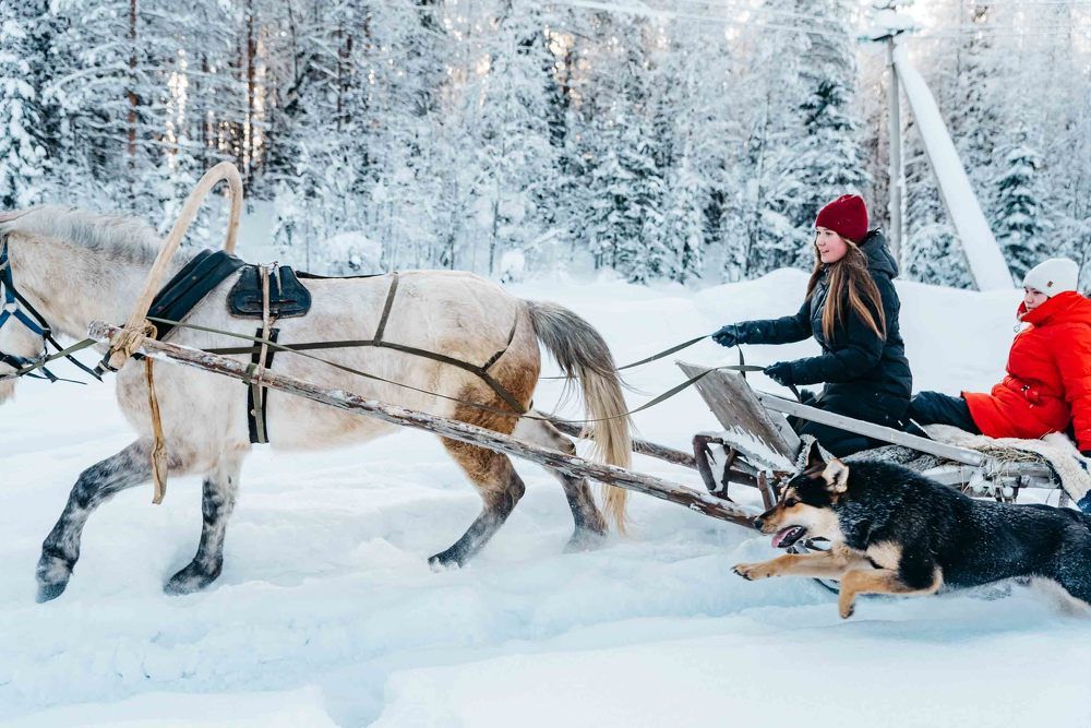 Photograph by Сергей Комаров