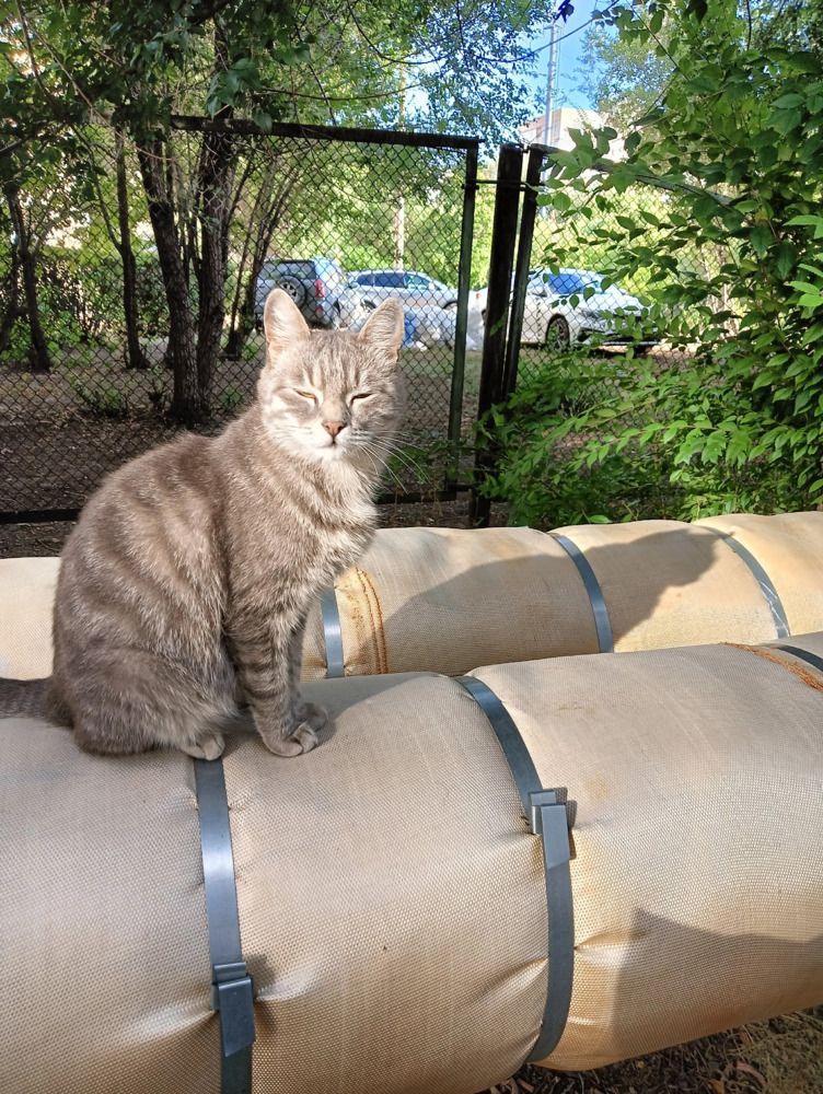 Photograph by Елена Чурынина