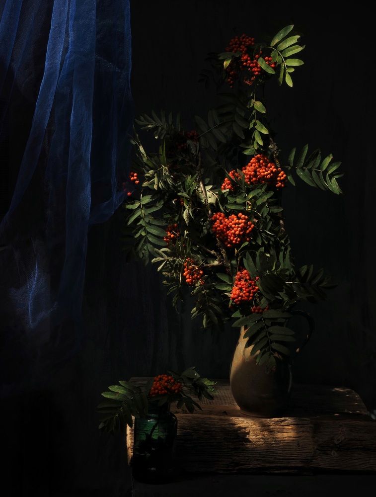 Photograph by EKATERINA