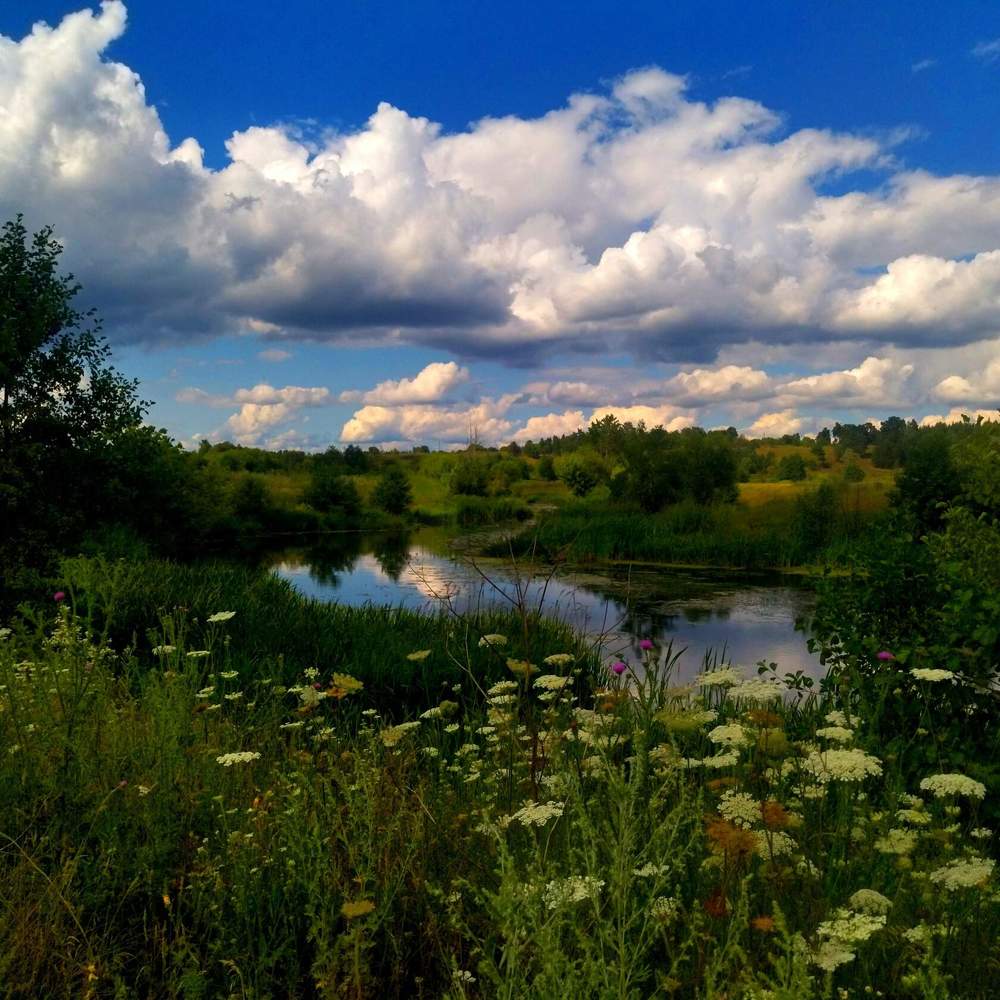 Photograph by Лариса Басова