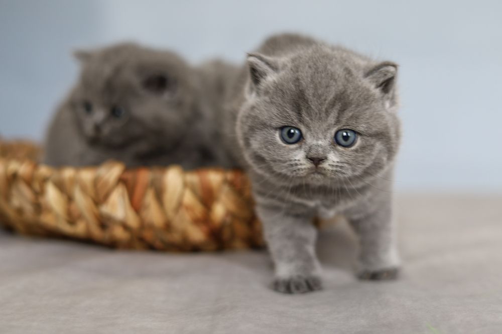 Photograph by Яна Матвеева