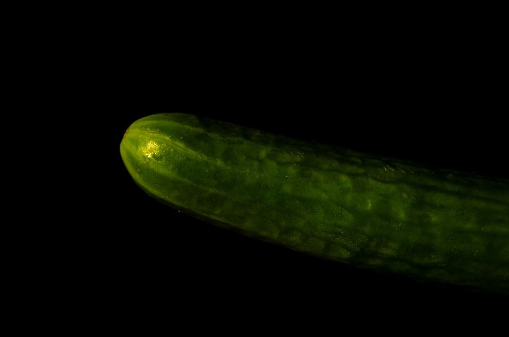 Photograph by Oleg Yashin