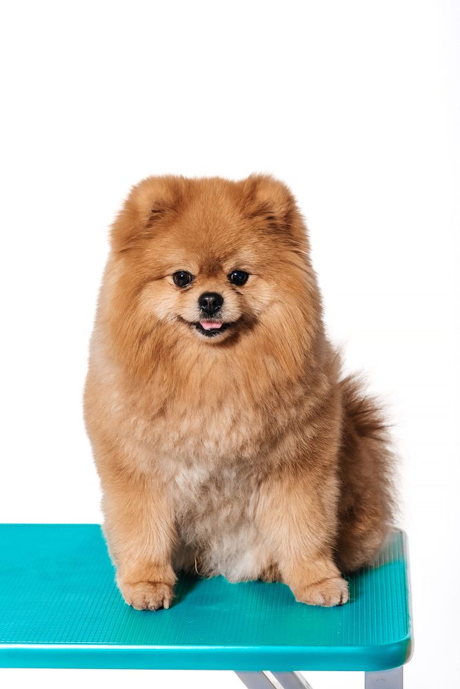 Photograph by Татьяна Биргулиева