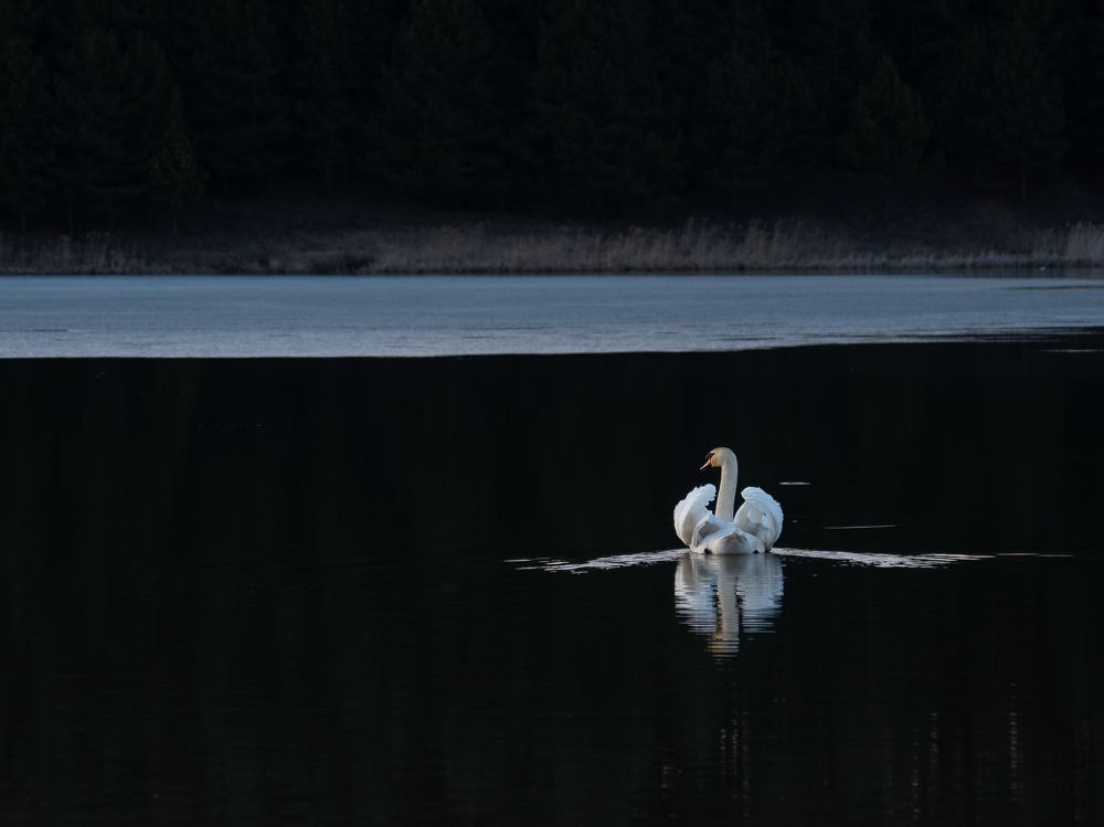 Photograph by Марина