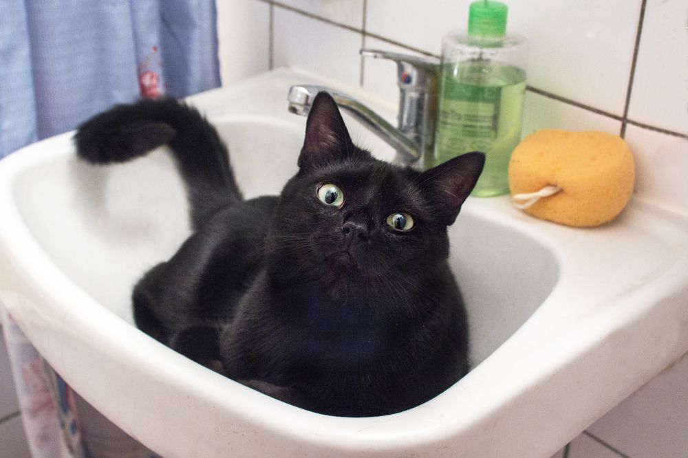 Photograph by Татьяна Семенова