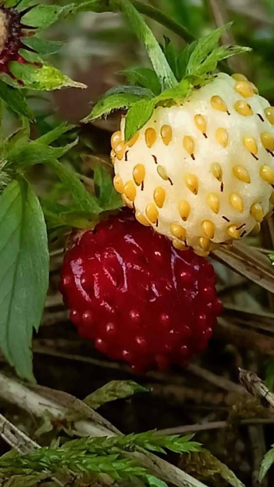 Фотография автора Марина Луценко