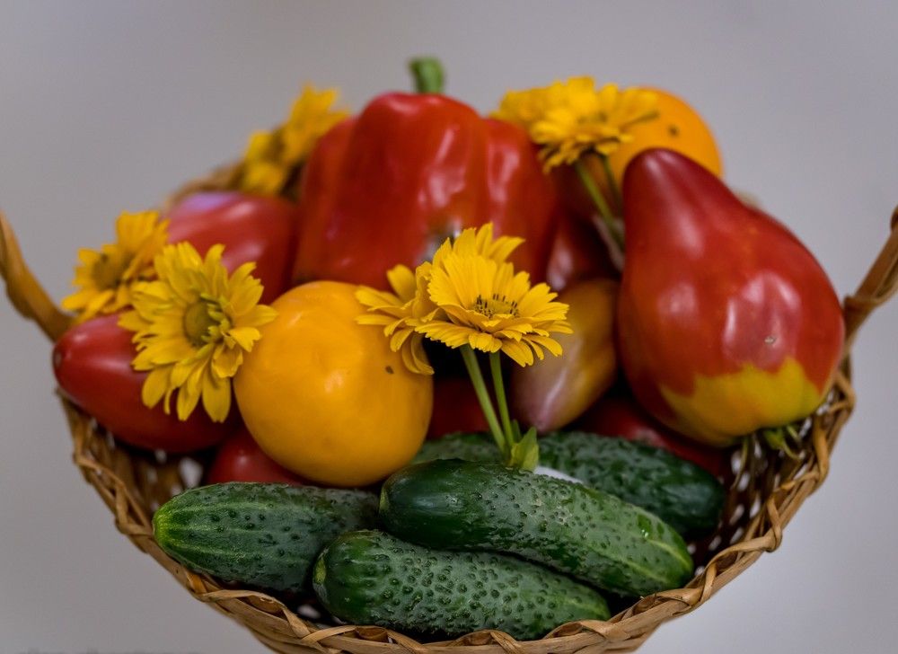 Photograph by Ольга Ченцова