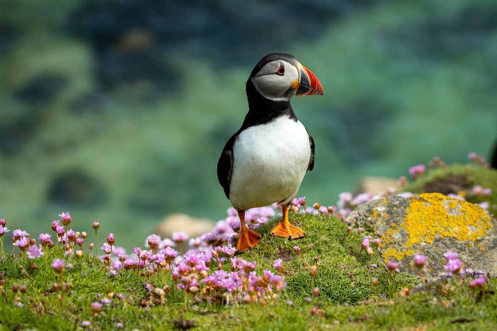 Photograph by Olena Pfister