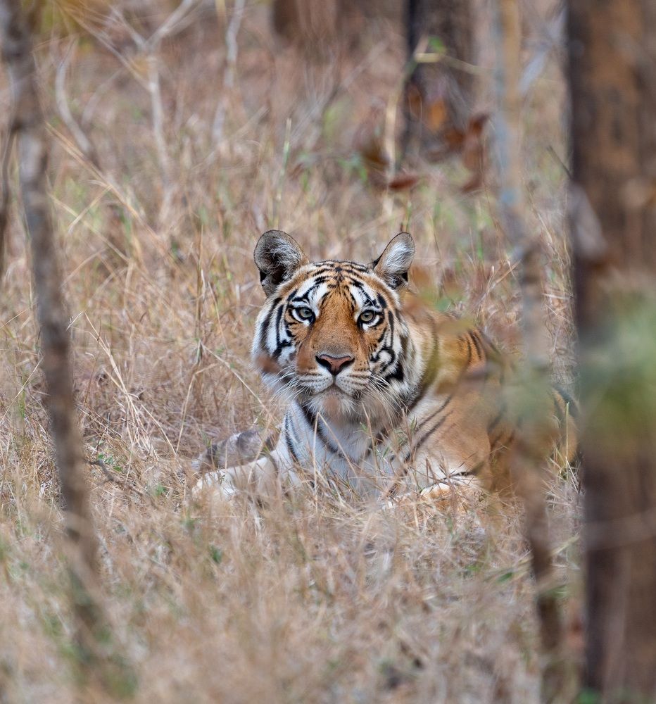 Photograph by mantosh kumar