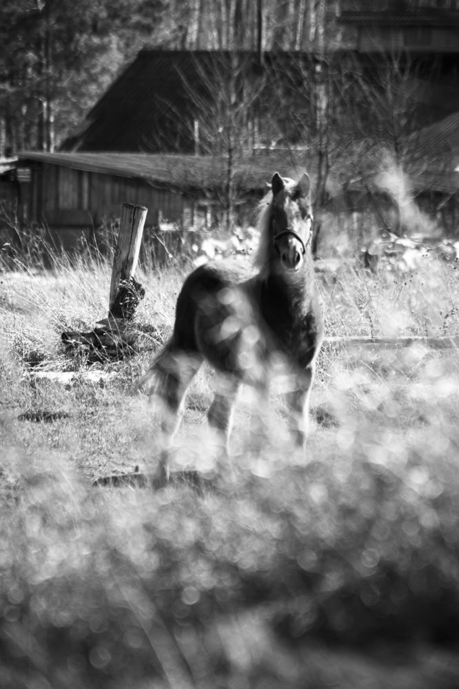 Photograph by Андрей Жучков