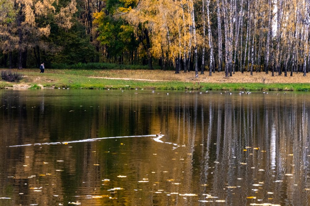 Photograph by Галина Аскольдовна Луковникова