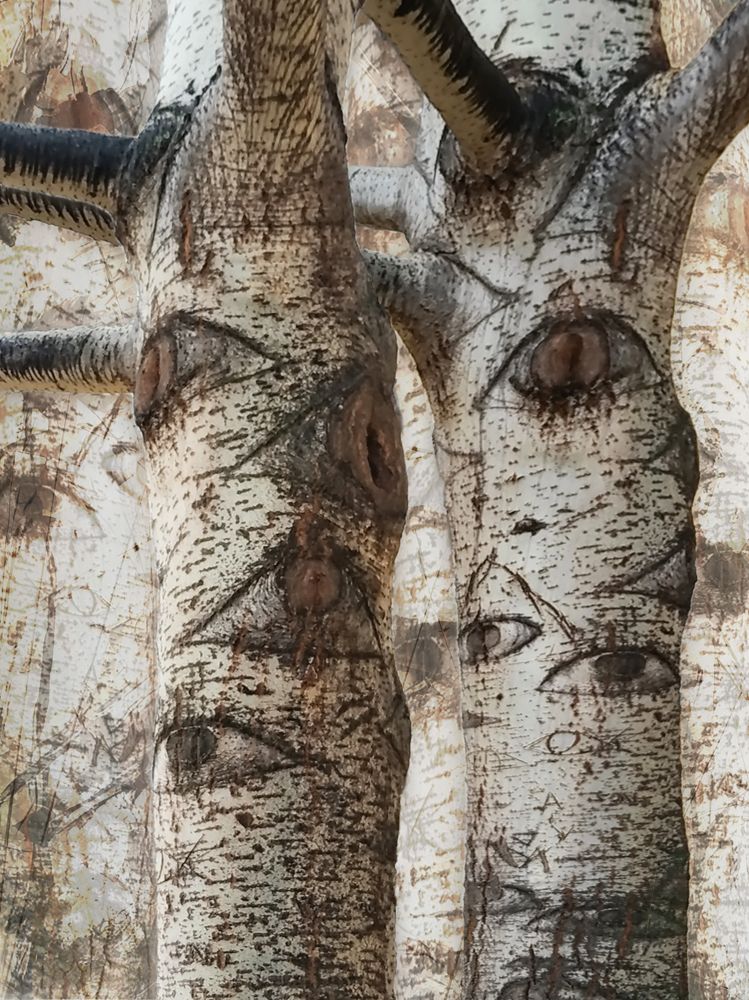 Фотография автора ТАТЬЯНА ЗАХАРОВА