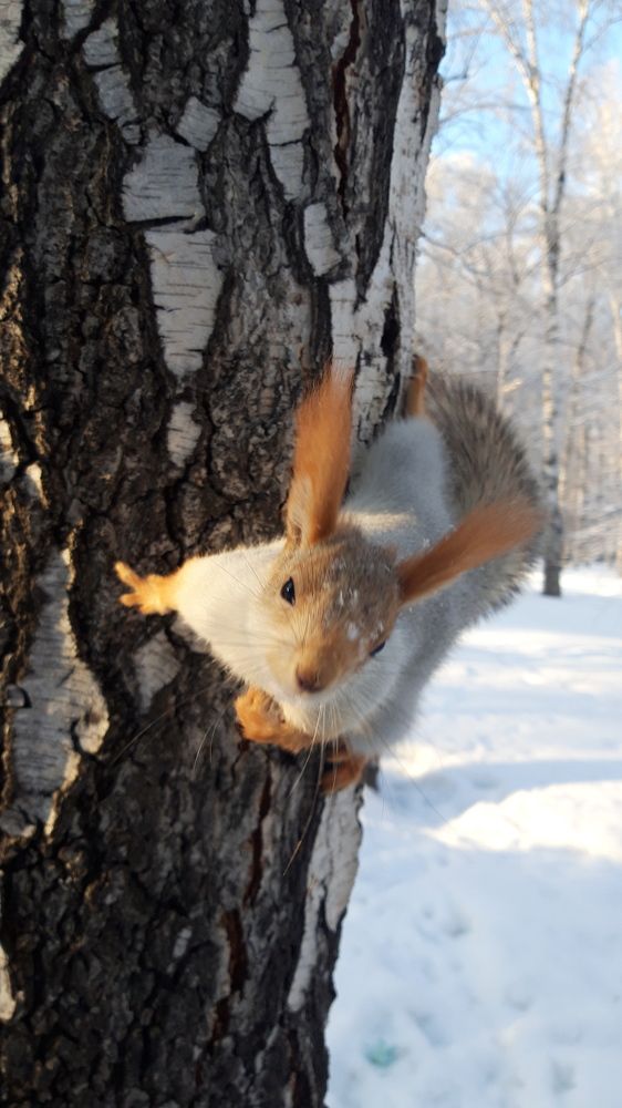 Photo #9825588