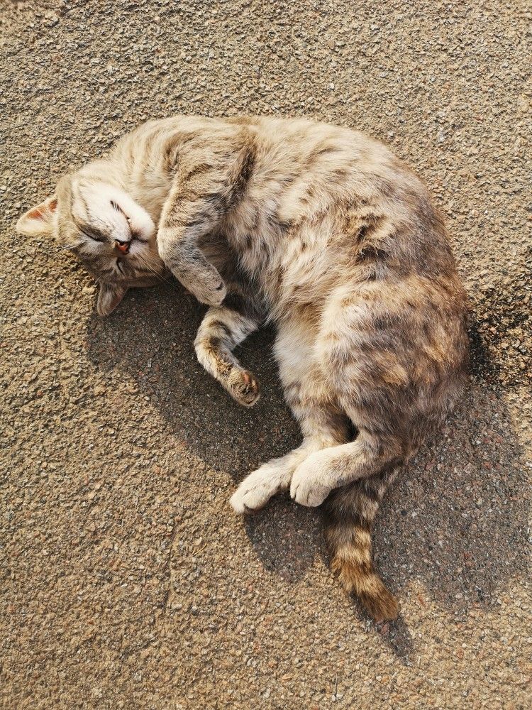 Photograph by Liubov Tarasova