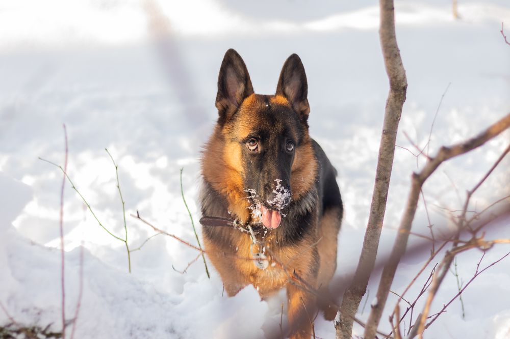 Photograph by Любовь Головина