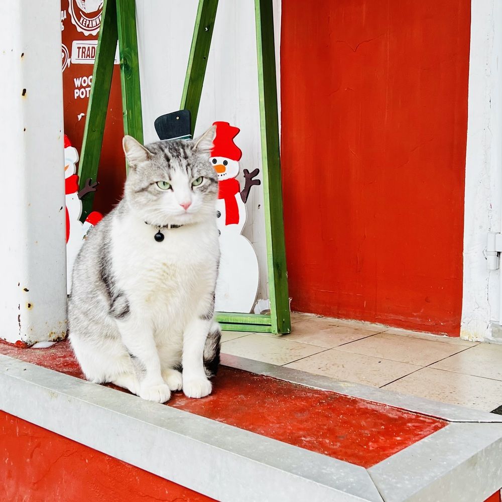 Photograph by Анна Лепихина