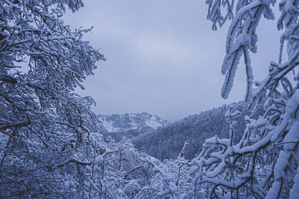 Photograph by юрий Запяткин