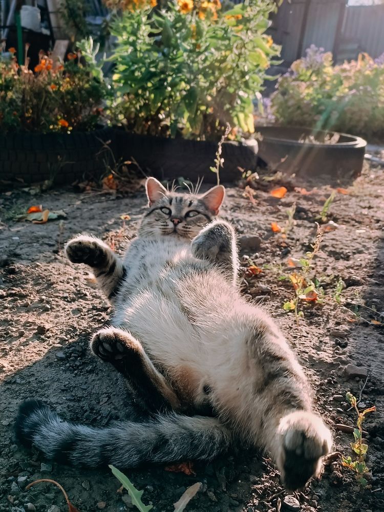 Фотография автора Наталья Алексеева