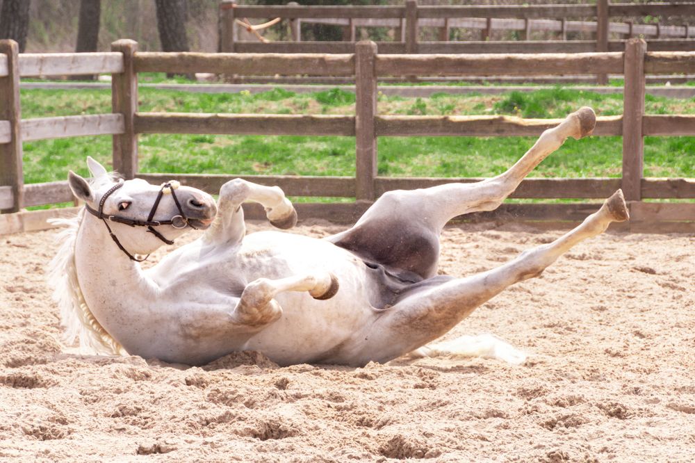 Photograph by Анастасия Лученок