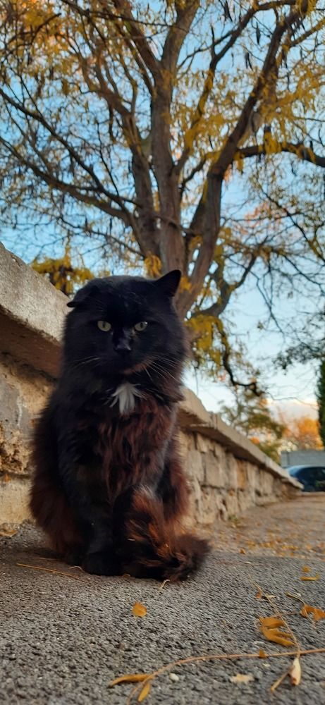 Фотография автора Ева Евстропова