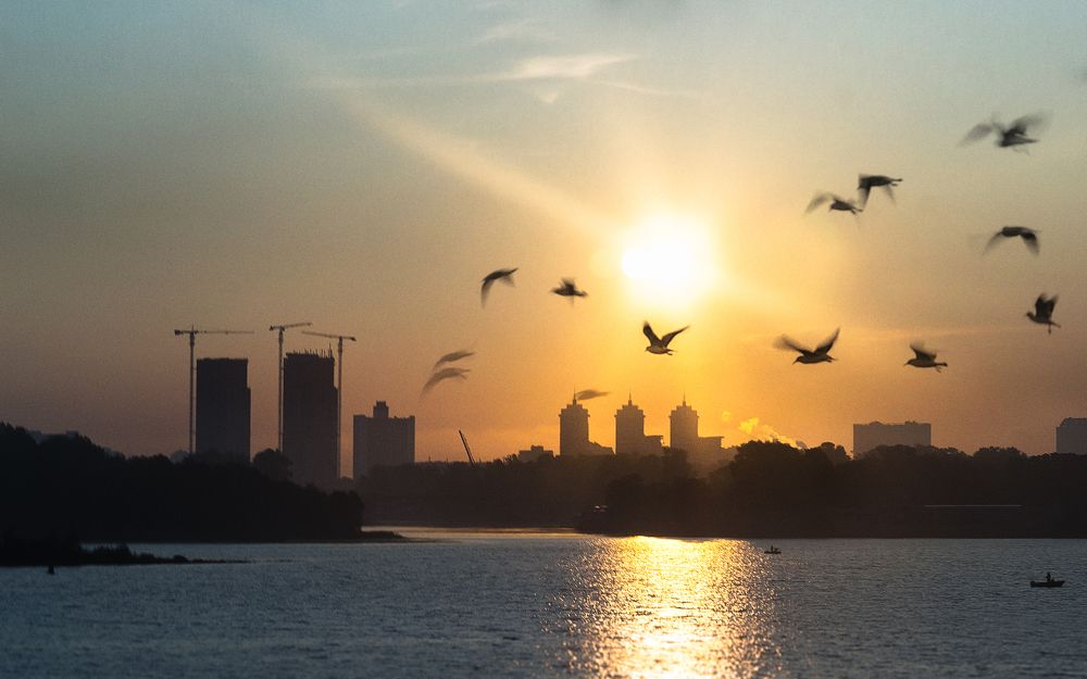 Photograph by Полина Хрол