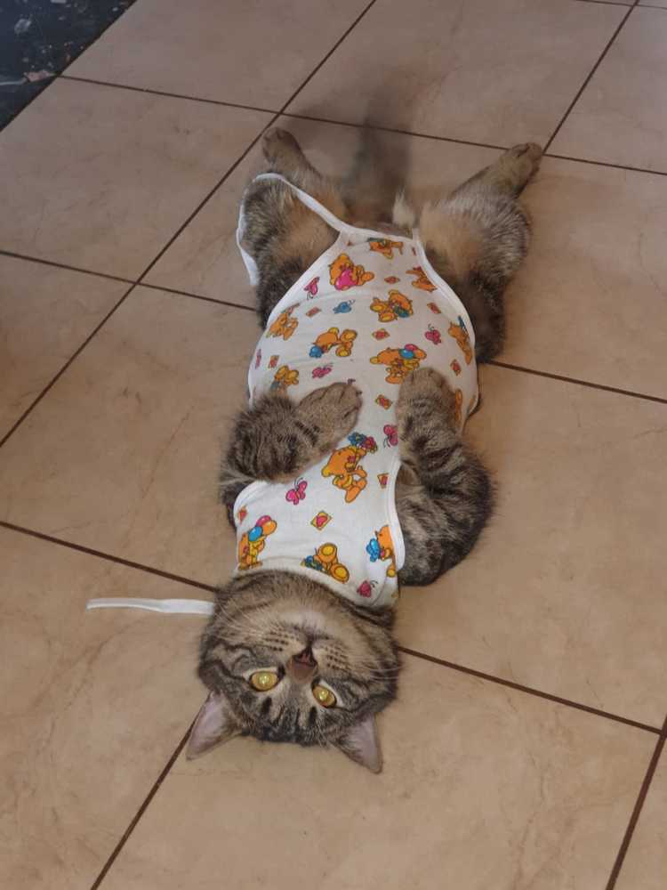 Фотография автора Мария Коледа