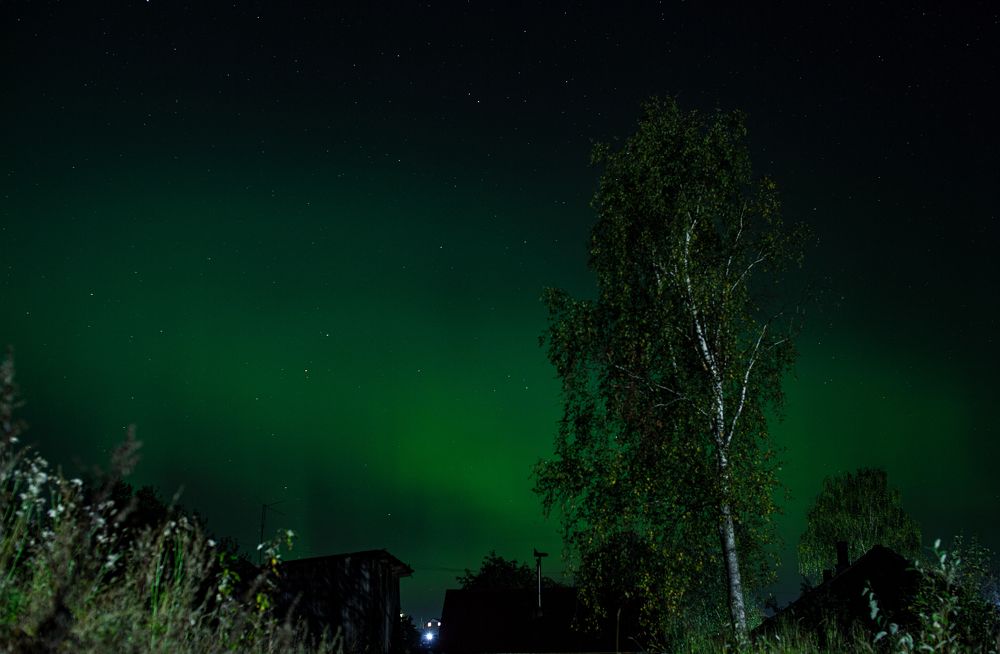 Photograph by Владимир Баженов