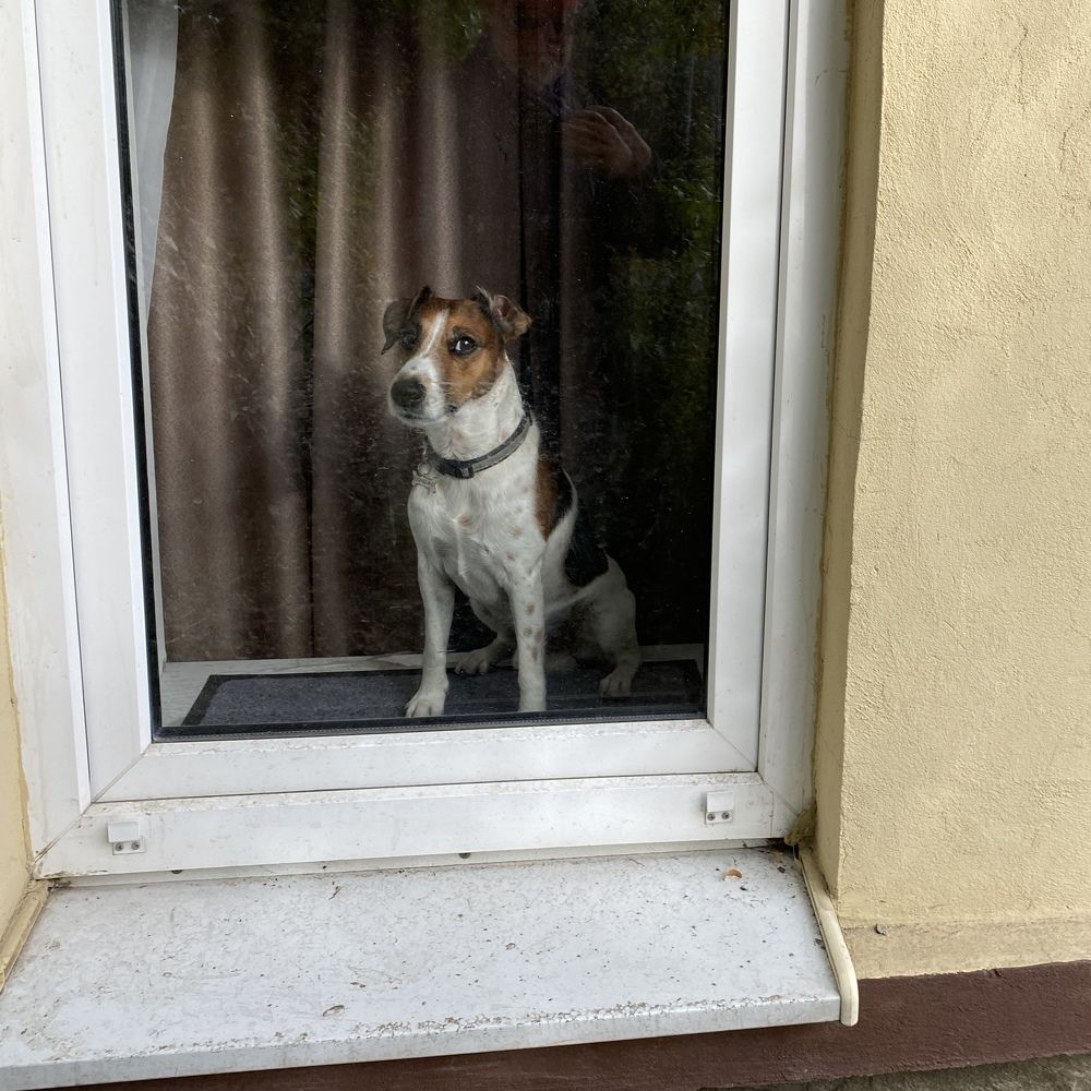 Photograph by Сергей Смирнов