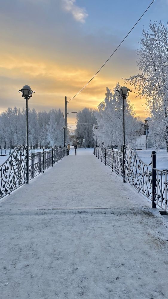 Photograph by Alina Andreevna