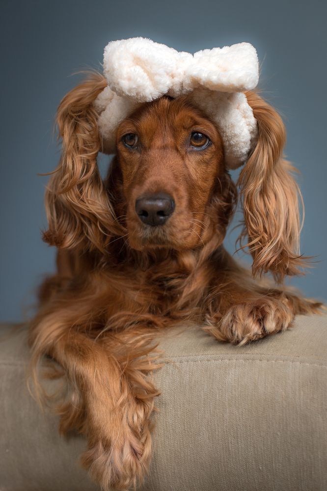 Photograph by Наталья Брюхненко