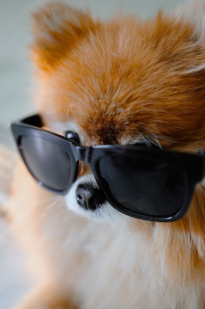 Photograph by Ольга Носкова