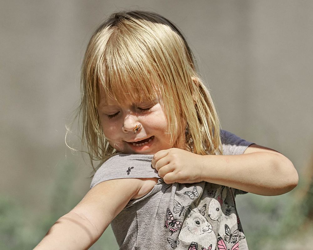 Она полетела!