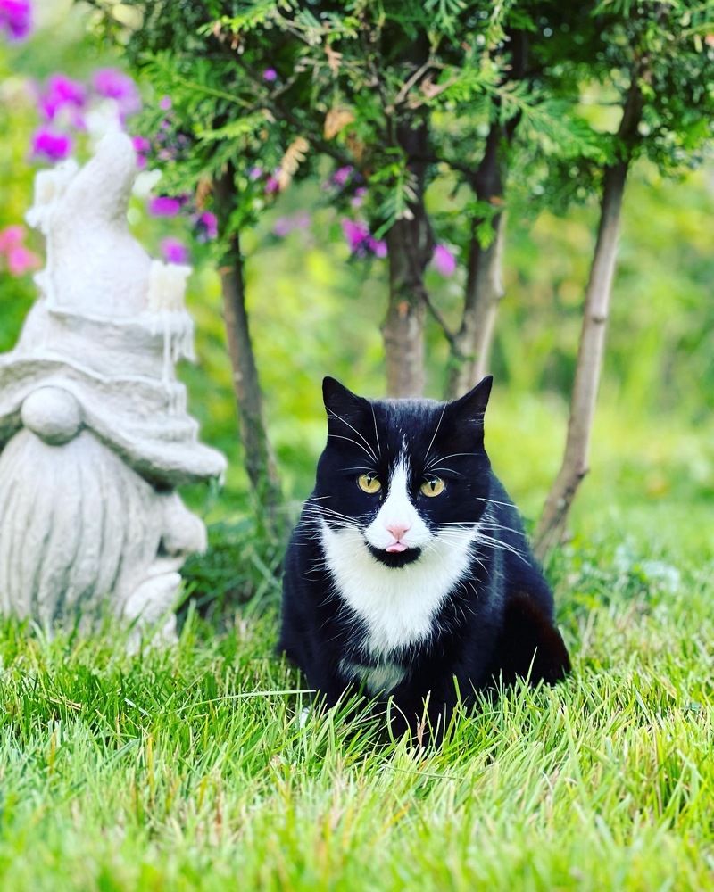 Фотография автора Мария Семенова
