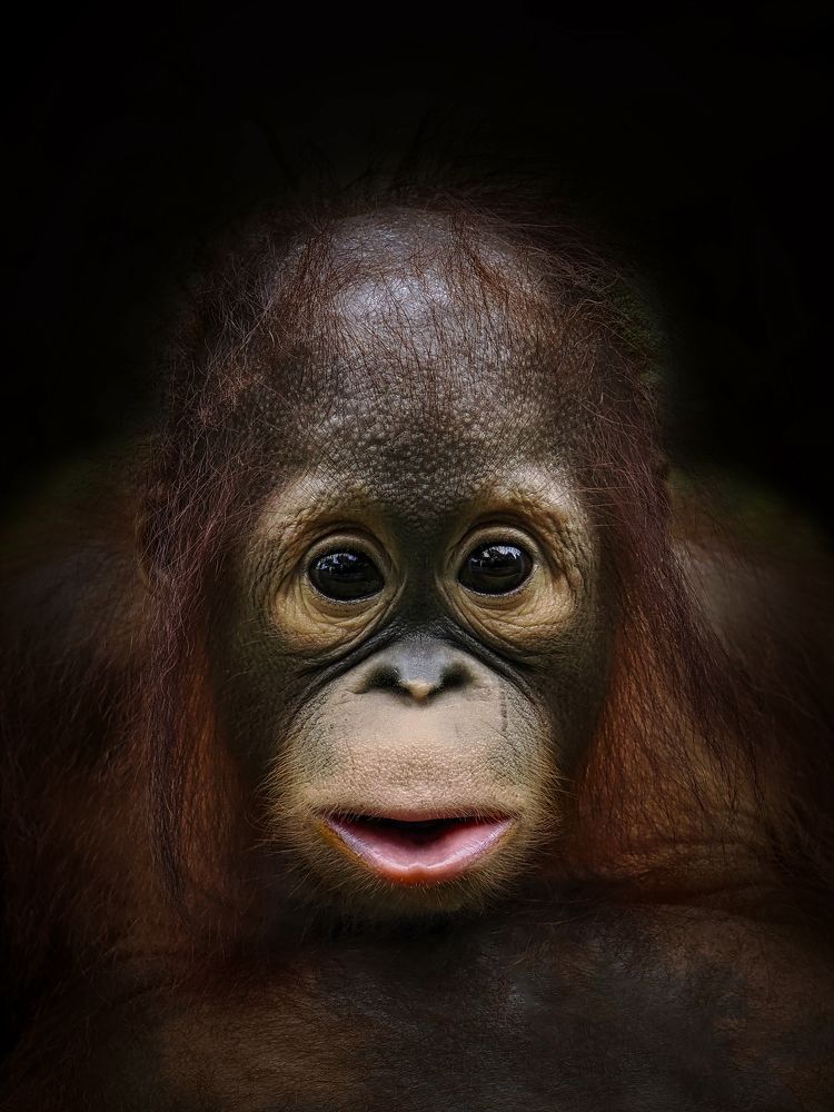 Photograph by Prabu dennaga