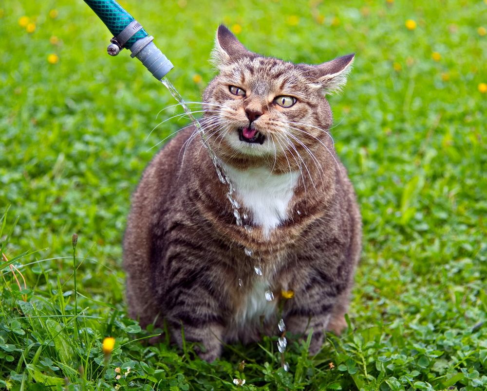 Photograph by Лидия Ушакова