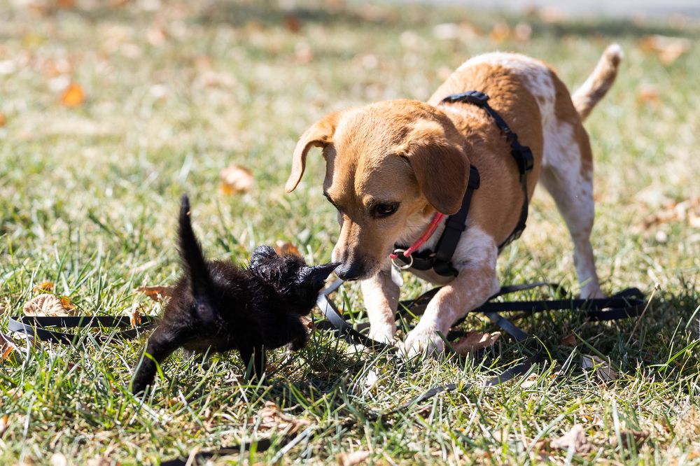 Photograph by Илья Сафаров