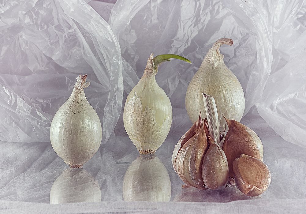 Photograph by Ольга Бакурская