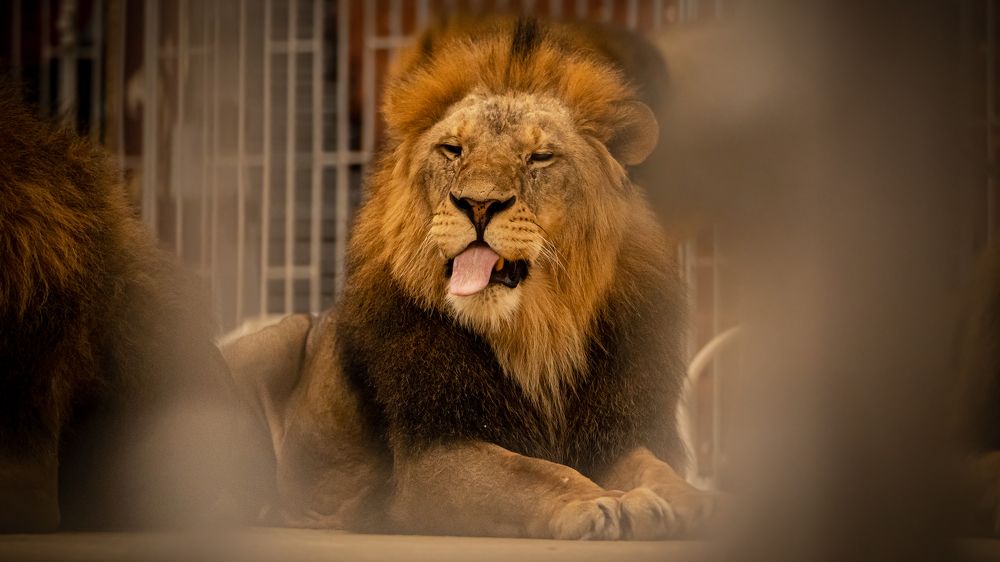 Photograph by Ольга Пачина