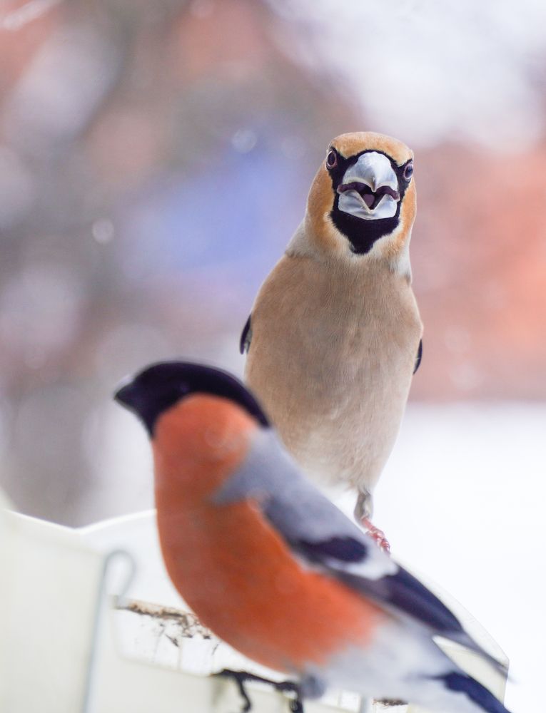 Photograph by Марина