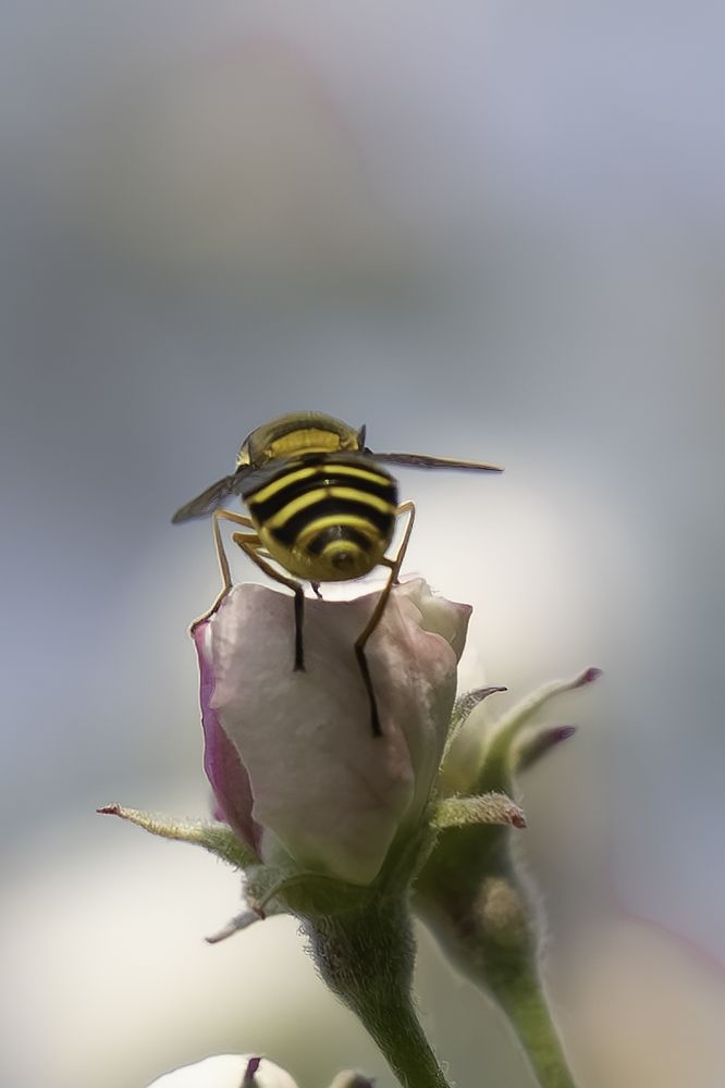 Photograph by Высотских Владимир