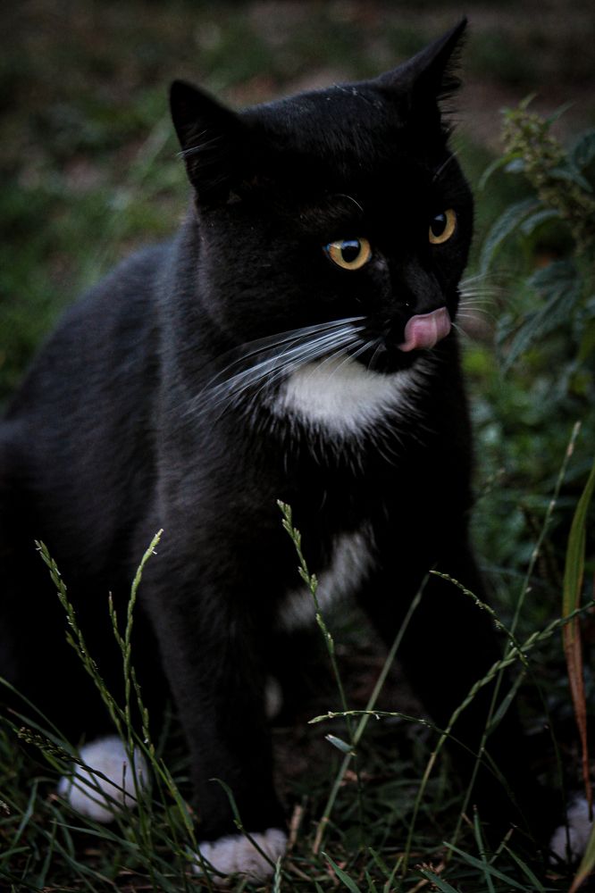 Photograph by Анастасия Псарёва