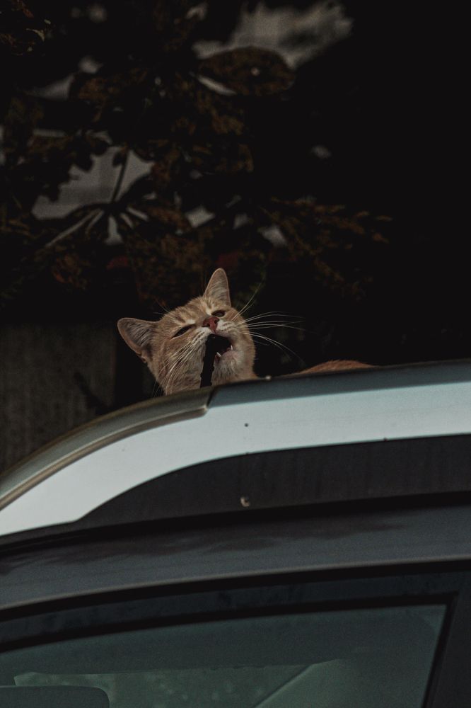 Photograph by Анастасия Псарёва