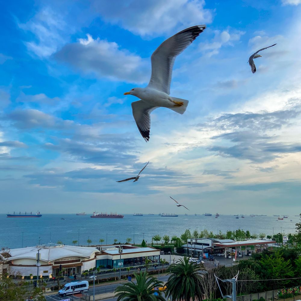 Photograph by Ольга Панова