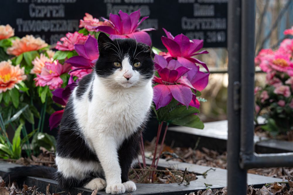 Photograph by Алексей Видинеев